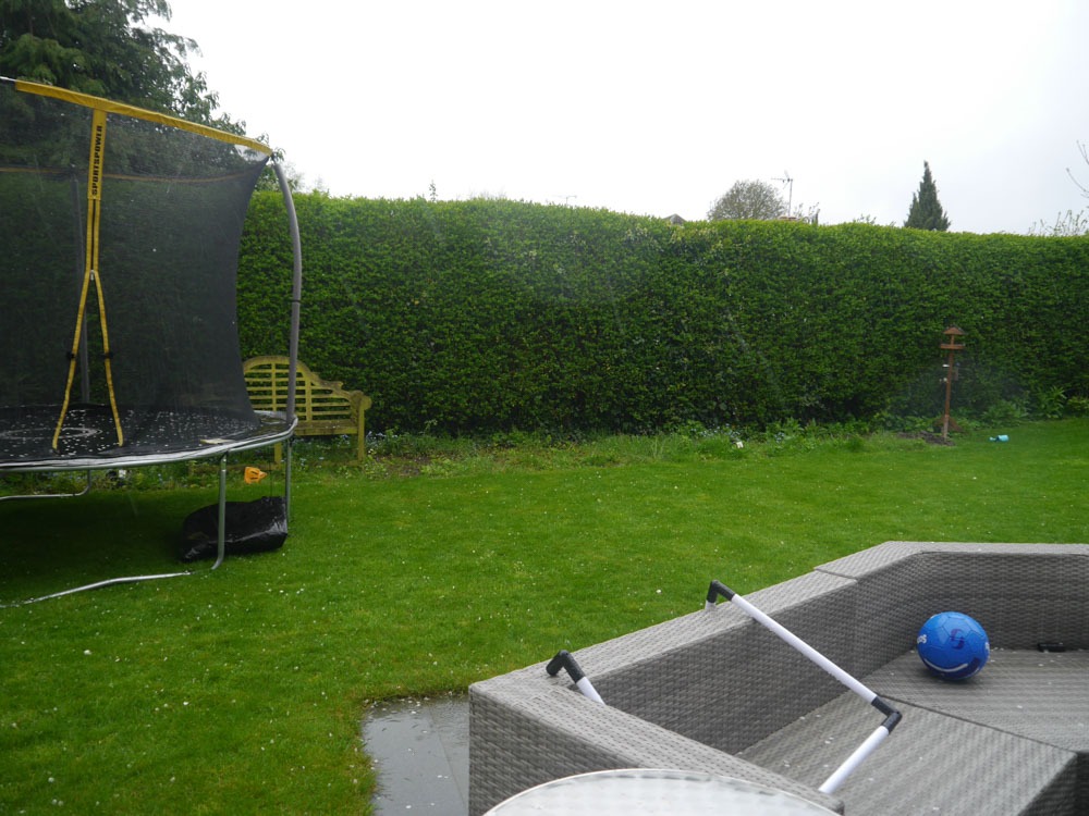 Contemporary Family Garden Design - Before